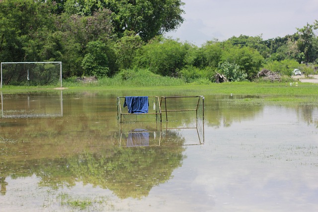 英超日本国脚与战犯照片合影，其俱乐部比赛在中国照常直播引球迷不满，咪咕客服回应